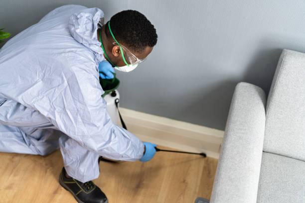 Best Pest Exclusion Services  in Clifton, AZ